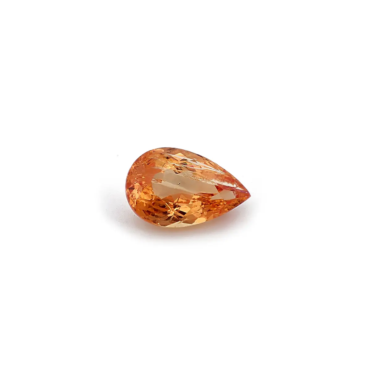 tp0006-1