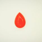 Corail rouge méditerranée