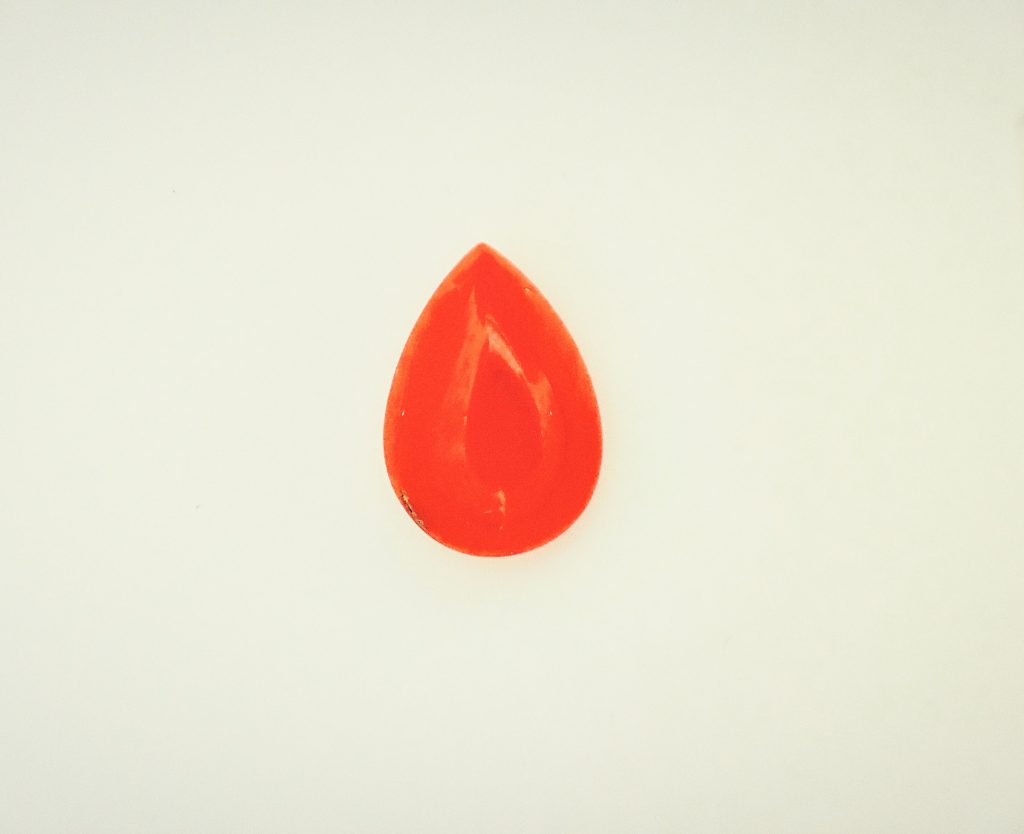 Corail rouge méditerranée