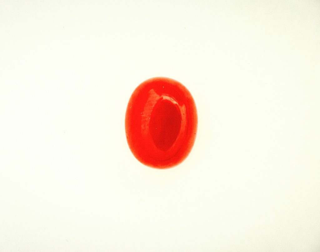 Corail rouge Méditerranée