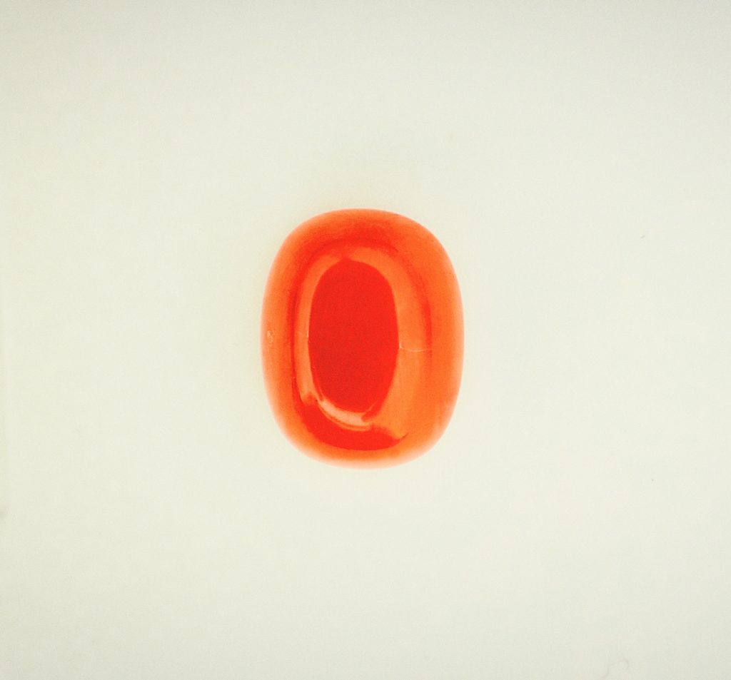 Corail rouge Méditerranée