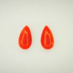 Corail rouge Méditerranée