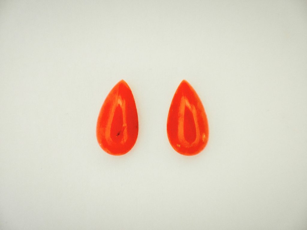 Corail rouge Méditerranée